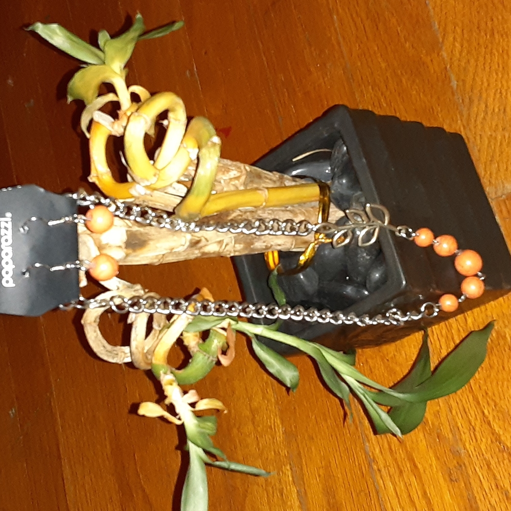 Nwt paparazzi orange and silver color necklace and earrings set